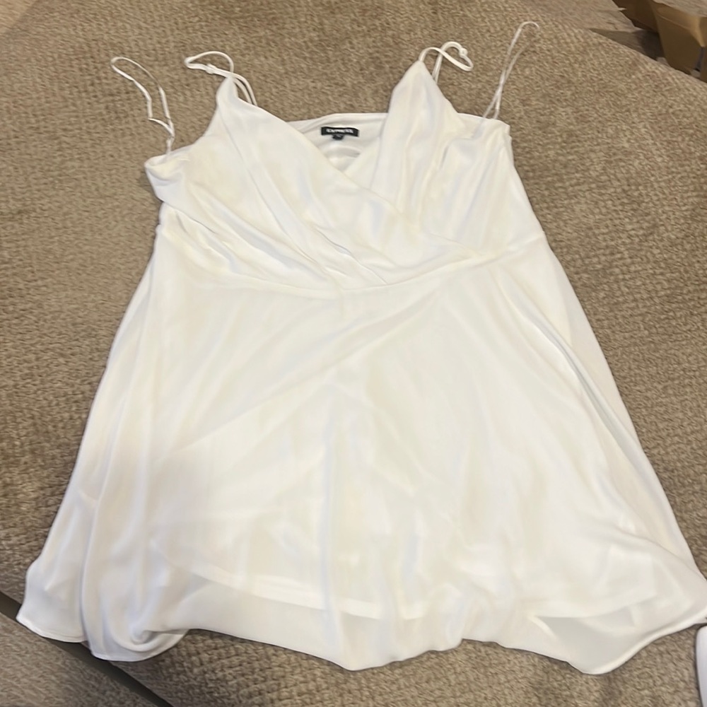 Express fit and flare dress